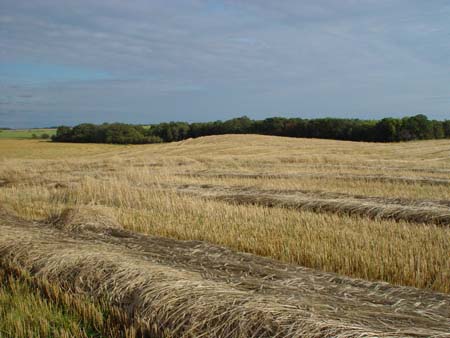 Cookbook Sept 11.04 040