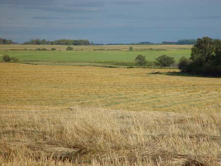 Cookbook Sept 11.04 042