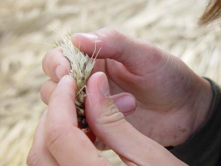 Cookbook Sept 11.04 047