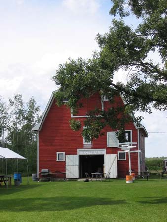 Stuart and Louise's Wedding 003